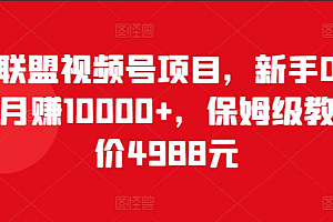 猎人联盟视频号项目,新手0基础轻松月赚10000+,保姆级教程原价4988元