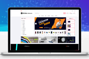 tiktok商城+落地页源码 带搭建教程
